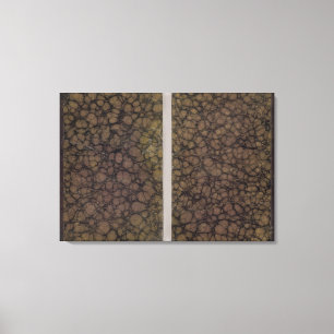 Toile Les couvertures de classique d'atlas d'univers