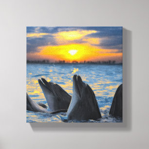 Toile Les dauphins bouteille-flairés dans la lumière d