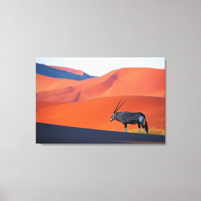 Toile Les déserts | Namib Desert Oryx (Recto)