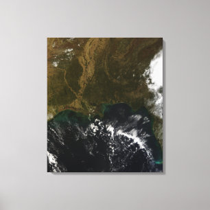 Toile Les États-Unis du Sud-est