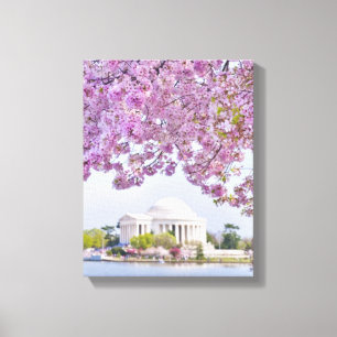 Toile Les Etats-Unis, Washington DC, cerisier en fleur