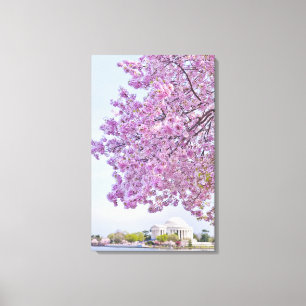 Toile Les Etats-Unis, Washington DC, cerisier en fleur