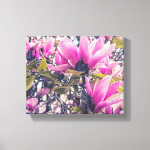 Toile Les fleurs de Magnolia