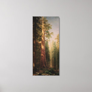Toile Les Grands Arbres, Mariposa Grove, CA de Bierstadt