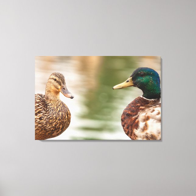 Toile Les Mallards (Recto)