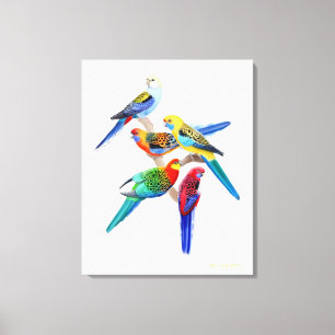 Toile Les perroquets de Rosella d'Australien ont