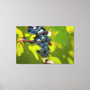 Toile Les raisins sur la vigne