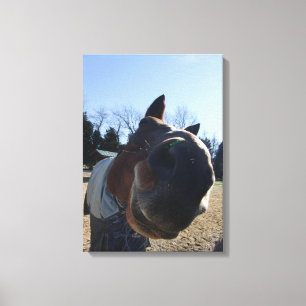 Toile LES TRAITÉS ? ! cheval Nosey