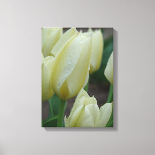 Toile Les Tulipes Après La Pluie