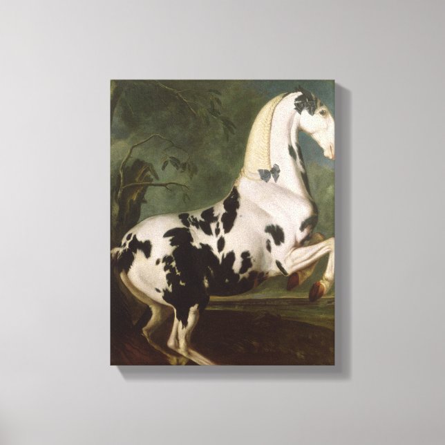 Toile L'étalon Piebald à l'étouffée Eisgruber (Recto)