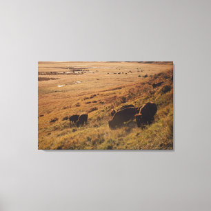 Toile Lever de soleil sur le bison