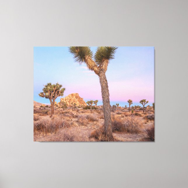 Toile Lever du soleil des arbres Joshua (Recto)