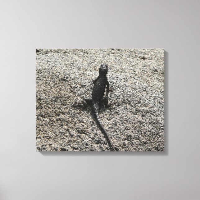 Toile Lézard noir (Recto)