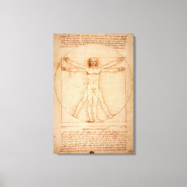 Toile l'Homme de Vitruve de Léonard de Vinci (Recto)