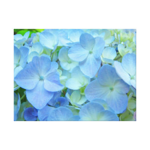 Toile L'hortensia bleu floral fleurit des copies d'art