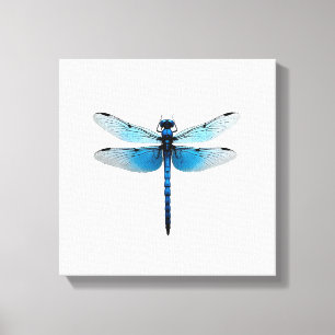 Toile Libellule bleue - Amoureux des insectes faune anim