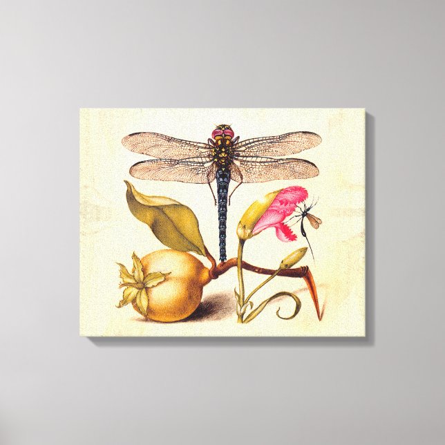 Toile Libellule Botanique Nature Faune Hoefnagel Art (Recto)