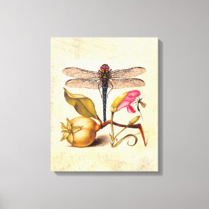 Toile Libellule Botanique Nature Faune Hoefnagel Art