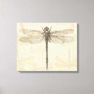 Toile Libellule Vintage Antique Classique Nature
