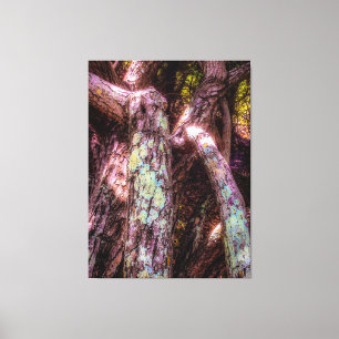 Toile Lichen dans la lumière du soleil appliquée