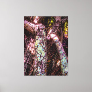 Toile Lichen dans la lumière du soleil appliquée
