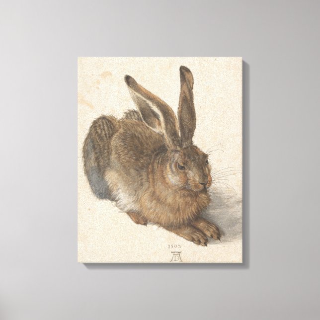 Toile Lièvre (par Albrecht Dürer) (Recto)