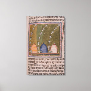 Toile Lignes incurvées du bestiaire trois