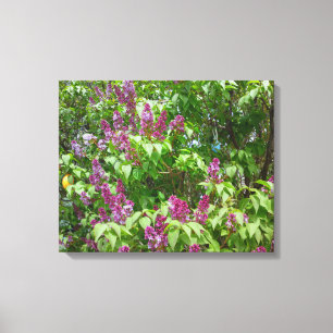 Toile Lilac Bush