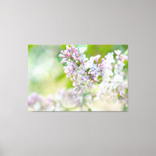 Toile Lilacs Misty Blanc Et Rose