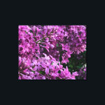 Toile lilas rose violet | photo florale rose romantique<br><div class="desc">L'odeur du printemps est dans l'air ! - romantique rose violet lilas photo par H Cooper</div>