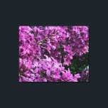 Toile lilas rose violet | photo florale rose romantique<br><div class="desc">L'odeur du printemps est dans l'air ! - romantique rose violet lilas photo par H Cooper</div>