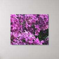 lilas rose violet | photo florale rose romantique