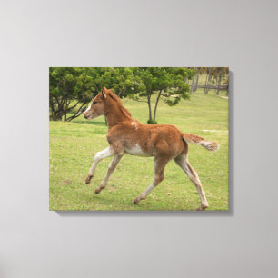 Toile L'île de Pâques aka Rapa Nui