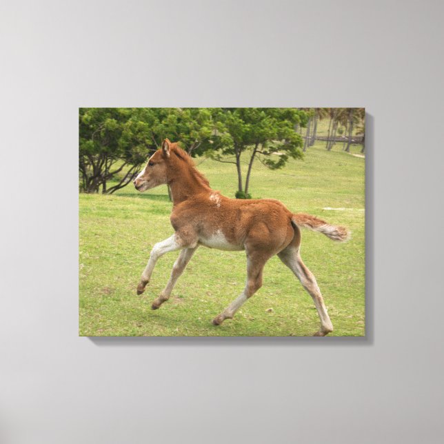 Toile L'île de Pâques aka Rapa Nui (Recto)