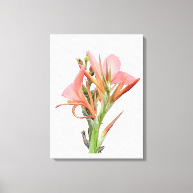 Toile Lily (Recto)