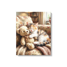 Lindo Gatito Durmiendo con Oso de Peluche