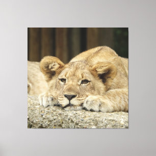 Toile Lion 040