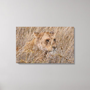 Toile Lion dans l'herbe