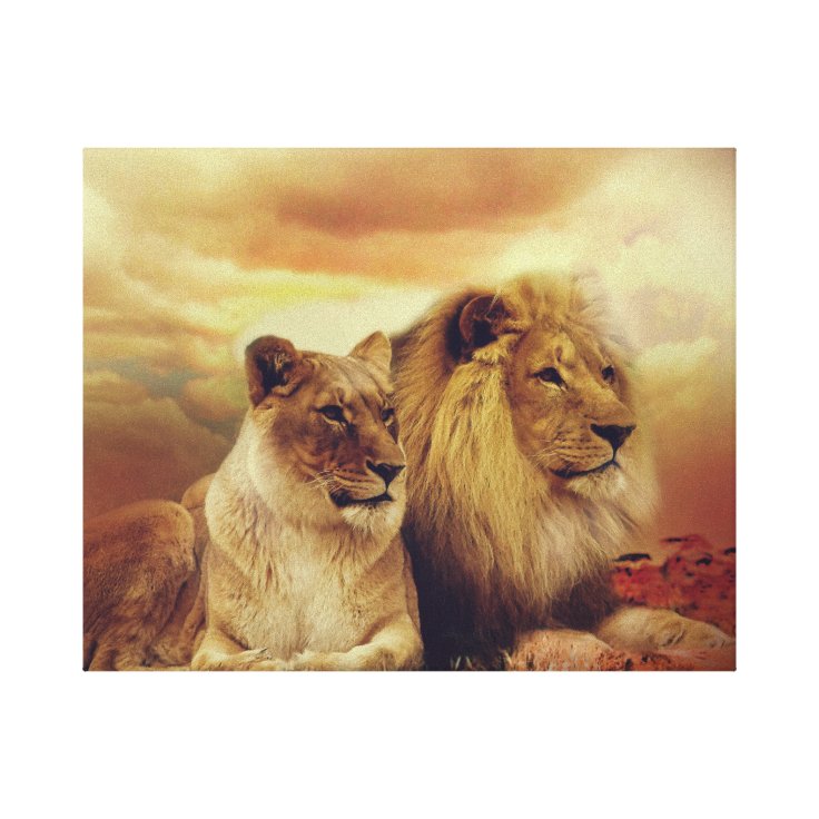 Toile Lion Et Lionne Africains Zazzle Fr