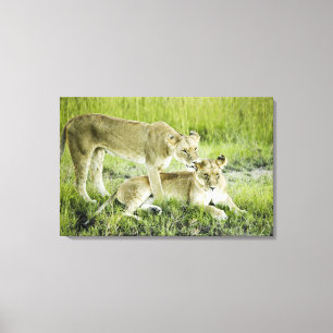 Toile Lion et lionne, Afrique