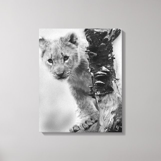Toile Lion noir et blanc (Recto)