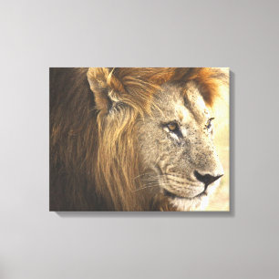 Toile Lion puissant