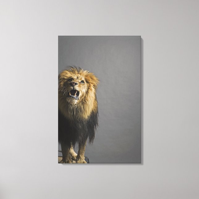 Toile Lion rugissant (Recto)