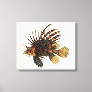 Toile Lionfish Poisson, Vintage Vie Marine Océan Animal