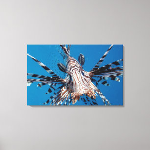 Toile Lionfish rouge 2