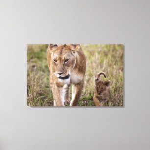 Toile Lionne avec son petit