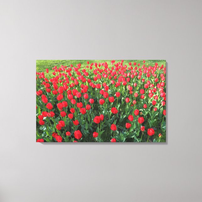 Toile Lit des Tulipes rouges 01 (Recto)