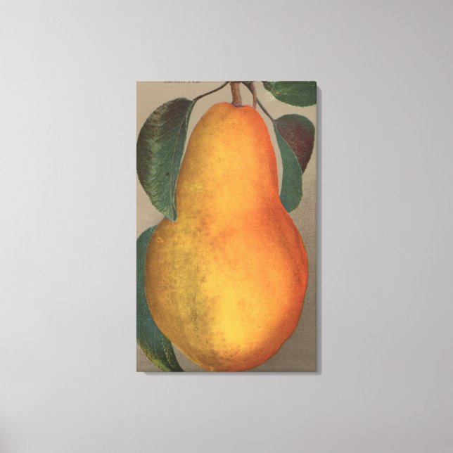 Toile Lithographie de chromo de fruits de Bartlett Pear (Recto)