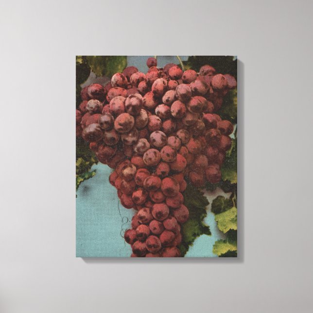 Toile Lithographie de Chromo de Fruits de Californie (Recto)