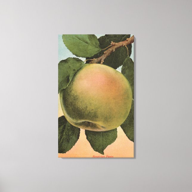 Toile Lithographie de chromo de fruits de Newtown Pippen (Recto)
